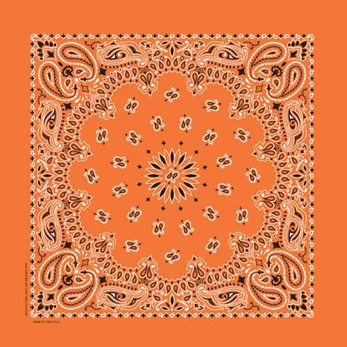 Bandanna Co Classic Paisley 22" X 22"