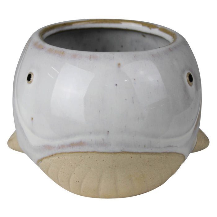 Whale Cachepot