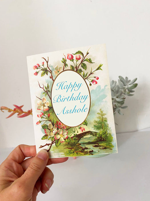 Happy Birthday Asshole Funny Greeting Card
