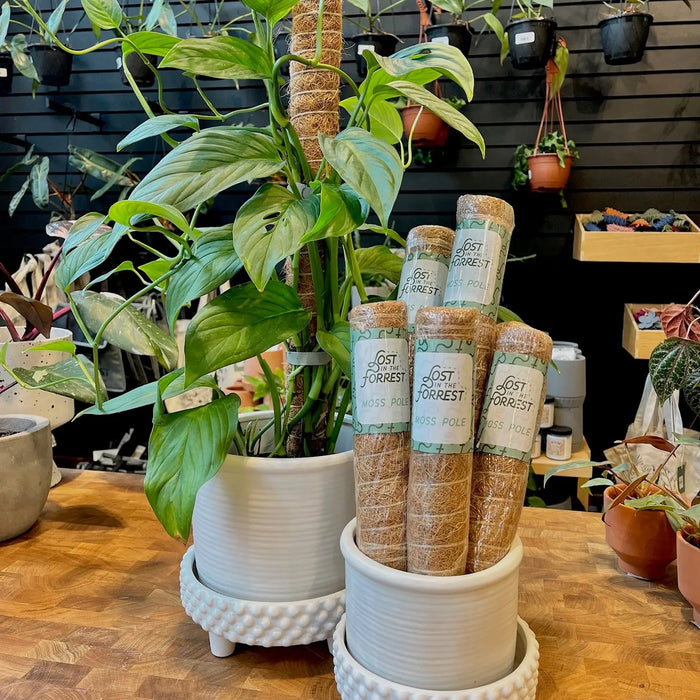 Stackable Coir Support Pole