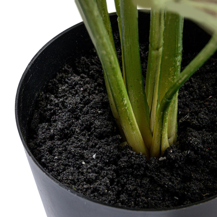 Faux Caladium Plant in Plastic Pot