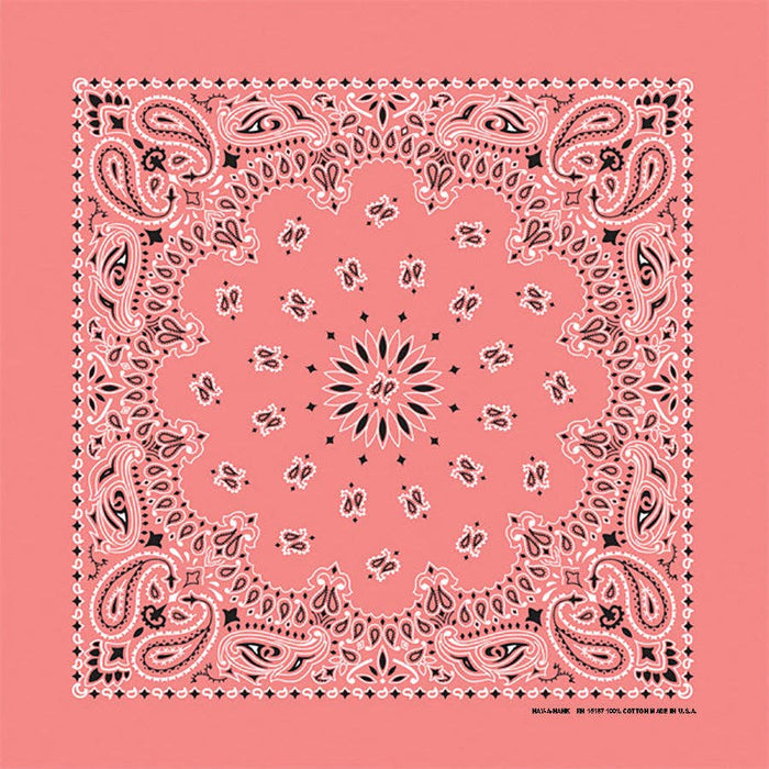 Bandanna Co Classic Paisley 22" X 22"