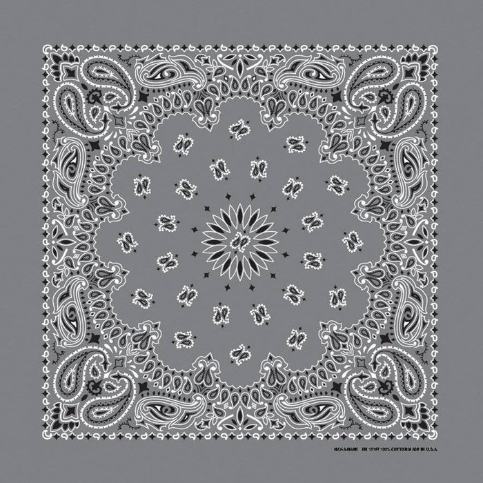 Bandanna Co Classic Paisley 22" X 22"