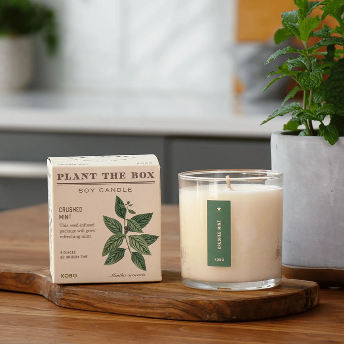 Plant The Box Candle - 9oz